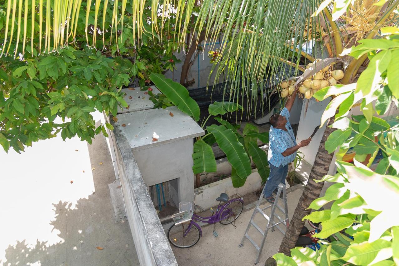 Chao Guest House Maafushi Exterior foto
