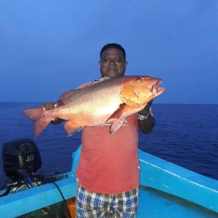 Chao Guest House Maafushi Exterior foto